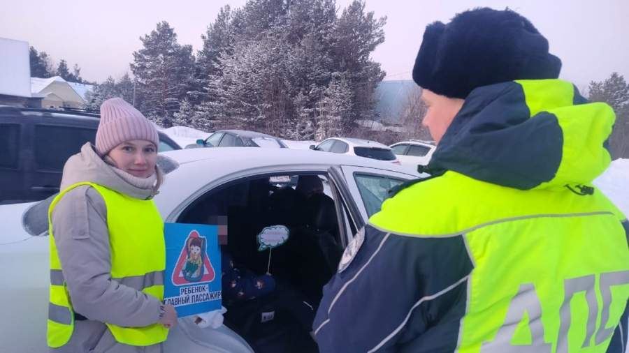 Гражданское содействие