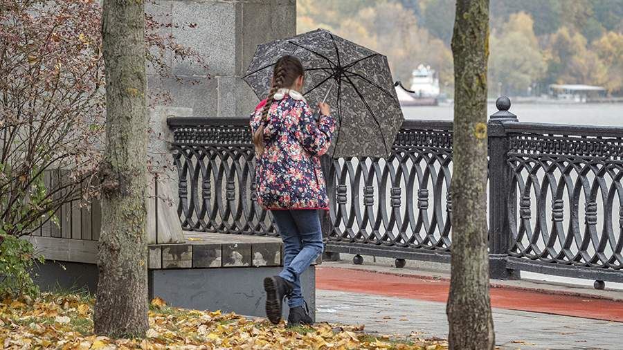 Синоптики спрогнозировали дождь и температуру до +5 градусов в Москве 30 ноября