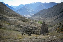 Дочь расправилась с матерью и сбежала в дагестанское село