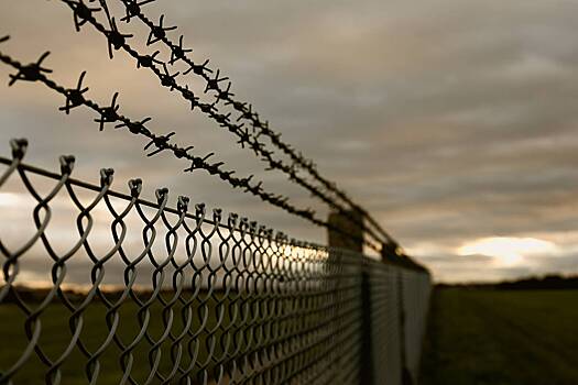 Украинцы оказались в&nbsp;лидерах по&nbsp;просьбам в&nbsp;убежище в&nbsp;РФ