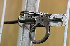 Покупавшего у Тимати и Литвина рекламу основателя элитного рехаба задержали