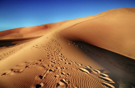 В песках ОАЭ нашли тела криптотрейдера Романа Новака и его жены