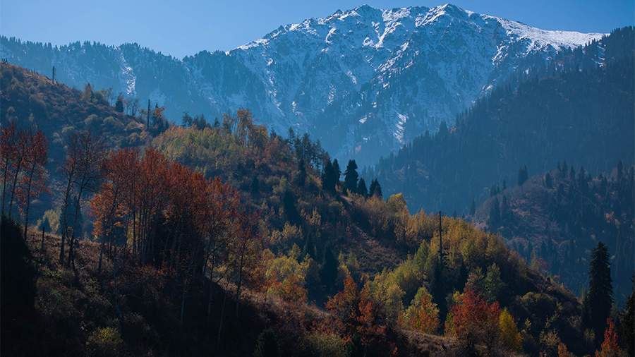 В Совбезе РФ отметили важность наращивания сотрудничества с Центральной Азией