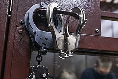 Россиянина потребовали арестовать за пытки ребенка