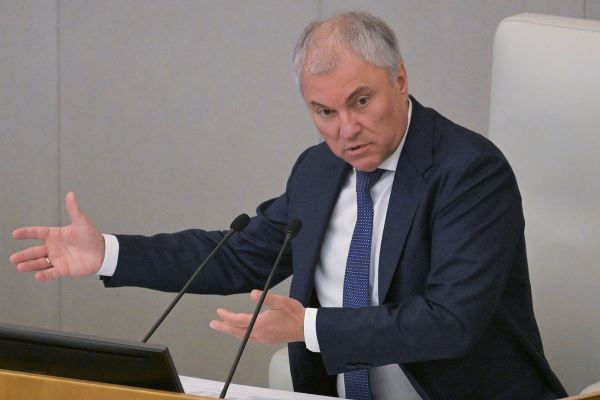 &laquo;Это недопустимо&raquo;. Дело Долиной и ее поведение обсуждают уже и в органах власти. Что говорят российские политики?