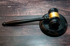 Суд назначил наказание зарезавшему собаку россиянину