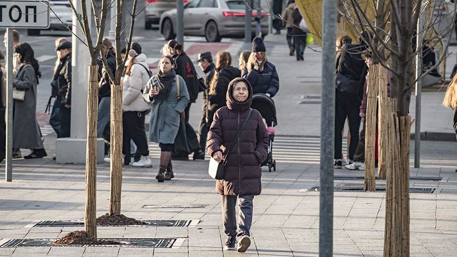 Синоптики спрогнозировали снег и температуру до +5 градусов в Москве 11 декабря
