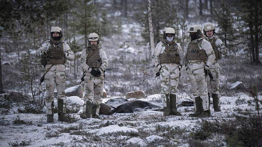 Reuters сообщило о привлечении военных во Франции для борьбы с эпидемией скота