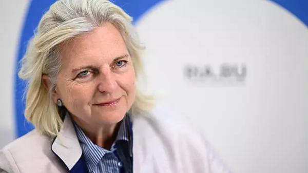 Кнайсль назвала регистрацию избирателей ключевой проблемой выборов на&nbsp;Украине